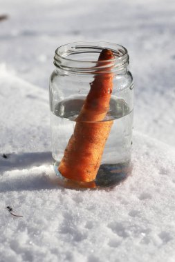 Güneşin kardan adam geldiğinde garten içinde eriyor. Kardan adam mason kavanoza dirilişine bekliyor. Taze havuç olarak kavanoza yeni kış sezonu için bekleyen kışın erimiş kardan adam