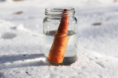 Güneşin kardan adam geldiğinde garten içinde eriyor. Kardan adam mason kavanoza dirilişine bekliyor. Taze havuç olarak kavanoza yeni kış sezonu için bekleyen kışın erimiş kardan adam