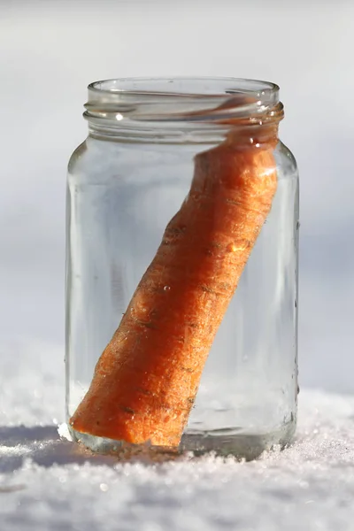 Cuando Sale Sol Muñeco Nieve Derrite Jardín Muñeco Nieve Está — Foto de Stock