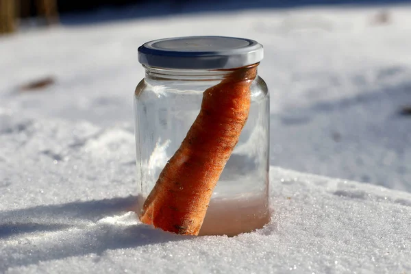 Güneşin kardan adam geldiğinde garten içinde eriyor. Kardan adam mason kavanoza dirilişine bekliyor. Taze havuç olarak kavanoza yeni kış sezonu için bekleyen kışın erimiş kardan adam