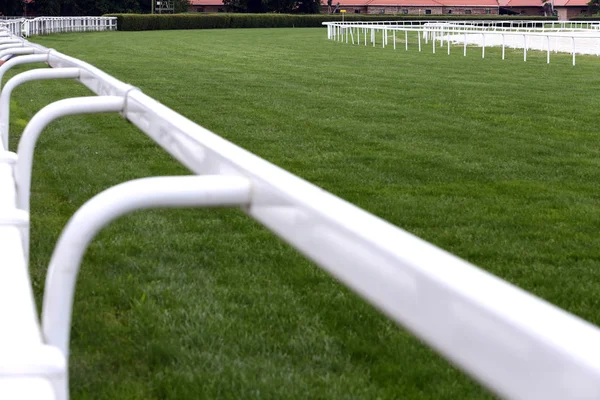 Césped Verde Tratado Listo Para Las Carreras Galope Fin Semana —  Fotos de Stock