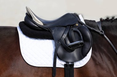 Güzel deri spor eyer binicilik rekabet fotoğraf