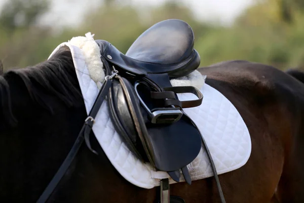 Foto Eines Schönen Ledernen Sportsattels Reitturnier — Stockfoto