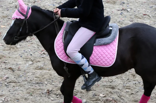 Rider Girl Teste Dressage Avançado Competição Equestre — Fotografia de Stock