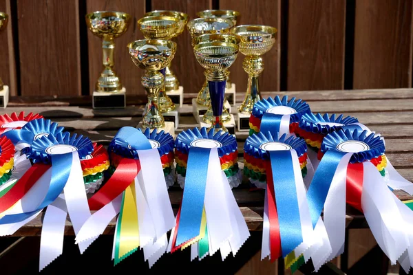 Groupe Équitation Sports Équestres Trophées Badges Rosettes Lors Événement Équestre — Photo