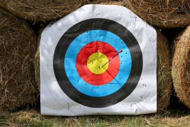 Rekabet çekim spor renkli hedef şablonu. Hedef aralığı saman balya karşı çekim üzerinde renkli daireler ile kullanılan