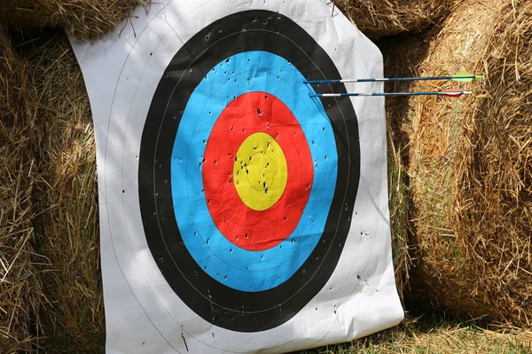 Practice target face with lot of shots. Used archery target on position at archery range summertime open air outdoor