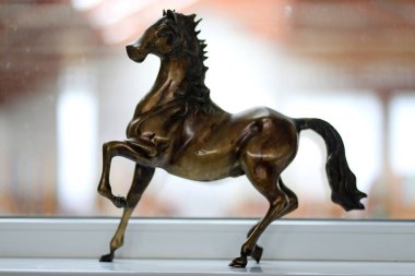 Arka plan olarak bilinmeyen binme Hall doğal ışık altındaki bir spor at silüeti