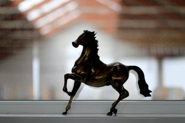 Arka plan olarak bilinmeyen binme Hall doğal ışık altındaki bir spor at silüeti