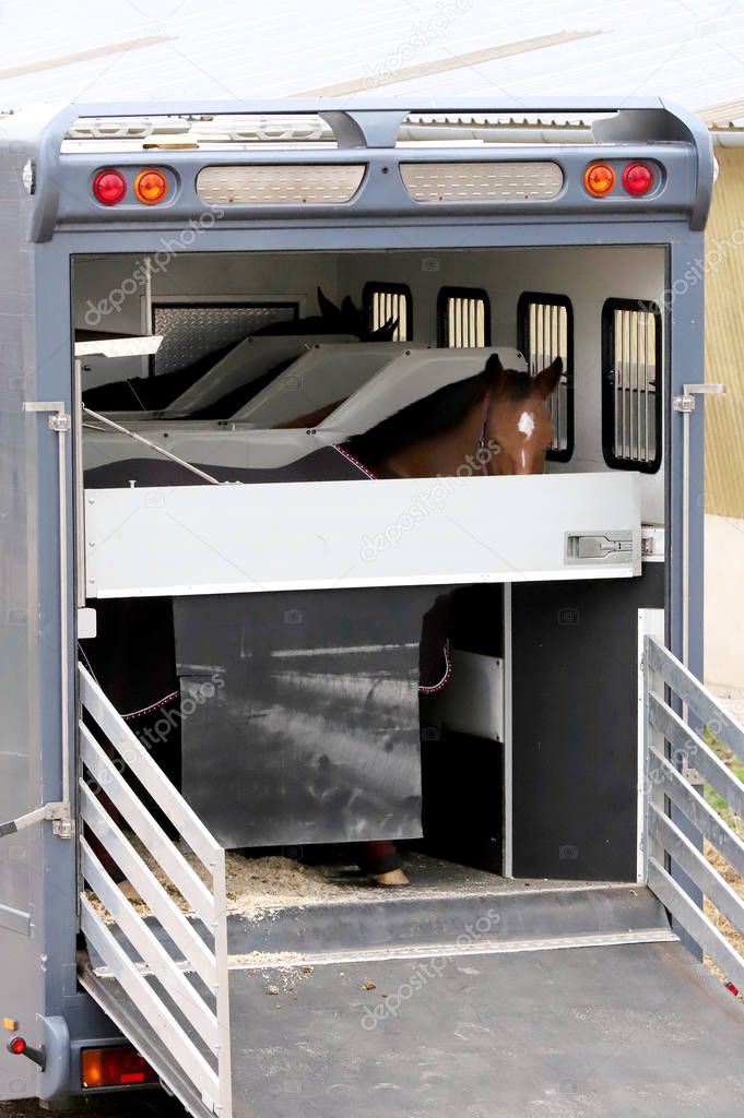 Trailer parking for horse transportation 
