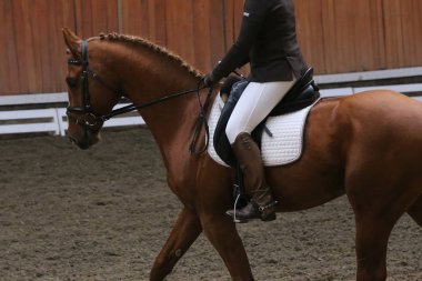 Bilinmeyen yarışmacı binicilik zeminde dressage at etkinliğinde sürmek
