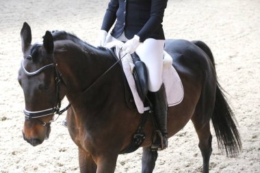 Bilinmeyen yarışmacı binicilik zeminde dressage at etkinliğinde sürmek