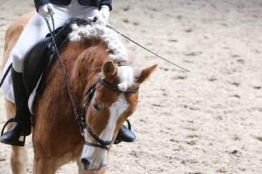 Bilinmeyen yarışmacı binicilik zeminde dressage at etkinliğinde sürmek