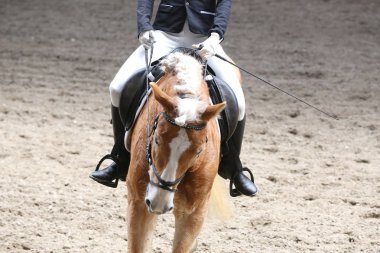 Bilinmeyen yarışmacı binicilik zeminde dressage at etkinliğinde sürmek