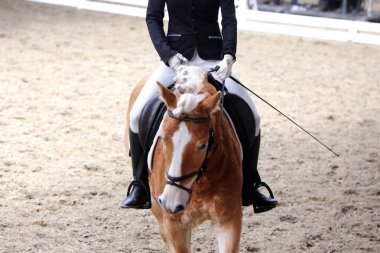 Bilinmeyen yarışmacı binicilik zeminde dressage at etkinliğinde sürmek