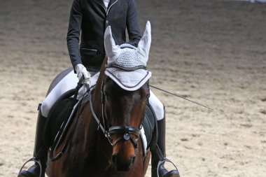 Bilinmeyen yarışmacı binicilik zeminde dressage at etkinliğinde sürmek