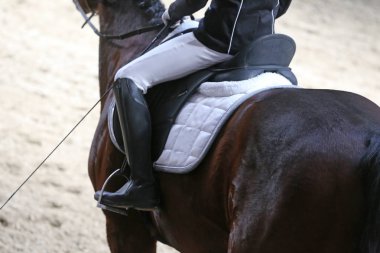 Bilinmeyen yarışmacı binicilik zeminde dressage at etkinliğinde sürmek