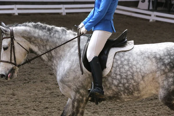 Desconhecido competidor passeios em dressage cavalo evento no chão de equitação — Fotografia de Stock