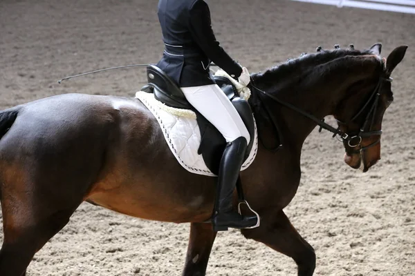 Desconhecido competidor passeios em dressage cavalo evento no chão de equitação — Fotografia de Stock