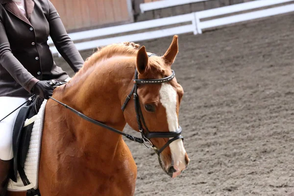 Paseos de concursantes desconocidos en el evento de doma caballo en el terreno de juego — Foto de Stock