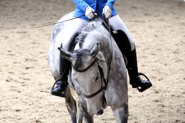 Desconhecido competidor passeios em dressage cavalo evento no chão de equitação — Fotografia de Stock