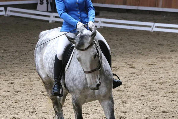 Bilinmeyen yarışmacı binicilik zeminde dressage at etkinliğinde sürmek — Stok fotoğraf