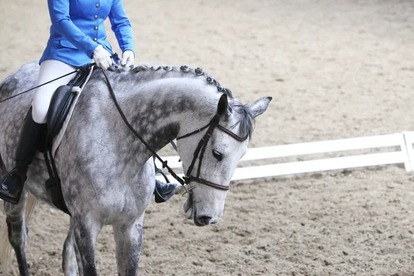 Bilinmeyen yarışmacı binicilik zeminde dressage at etkinliğinde sürmek — Stok fotoğraf