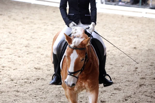 Bilinmeyen yarışmacı binicilik zeminde dressage at etkinliğinde sürmek — Stok fotoğraf
