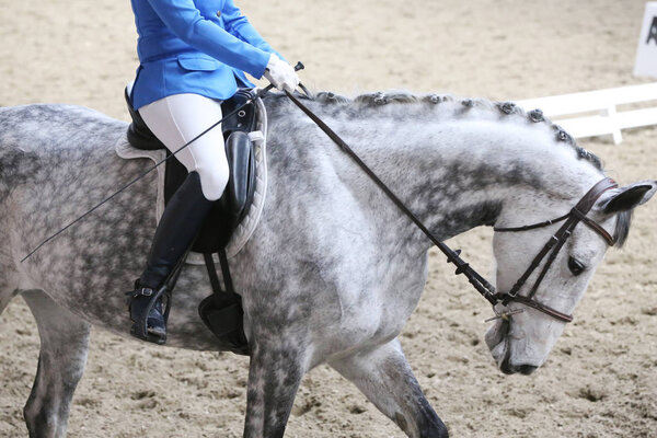 Unknown contestant rides at dressage horse event in riding ground