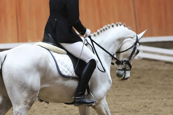 Portrét sportovního koně během dresšallovské soutěže v sedle — Stock fotografie