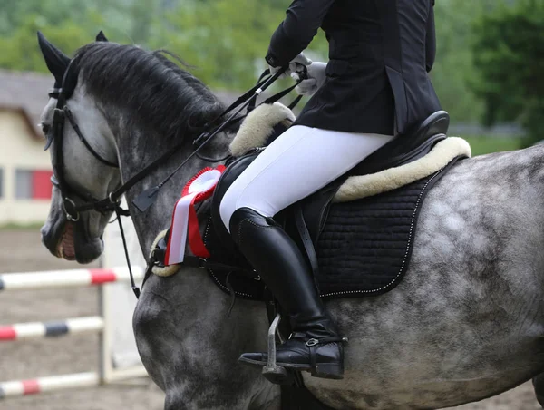 Tiro na cabeça close-up de um belo prêmio vencedor cavalo de corrida — Fotografia de Stock