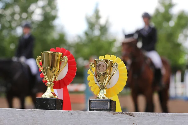 Rosettes de prix pour le gagnant en différentes couleurs — Photo