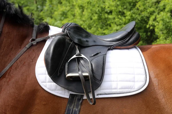 Fechar de um cavalo de porto durante a competição sob sela ao ar livre — Fotografia de Stock