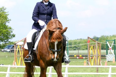 Yarış pistinde hareket güzel gösteri jumper at Portresi