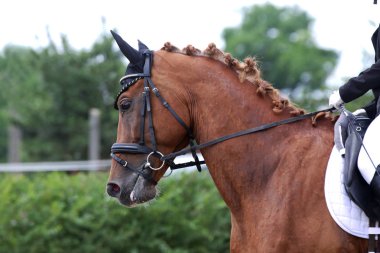 Bilinmeyen yarışmacı binicilik zemin üzerinde dressage at olay sürmek