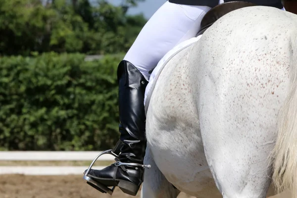 Sconosciuto dressage cavaliere siede sul suo stallone durante la gara — Foto Stock