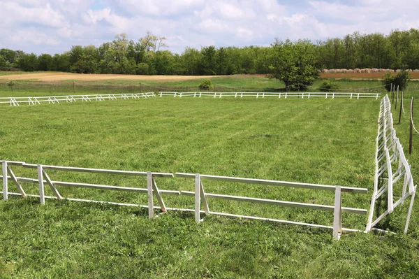 Groene gras overdekte hippische paarden arena — Stockfoto