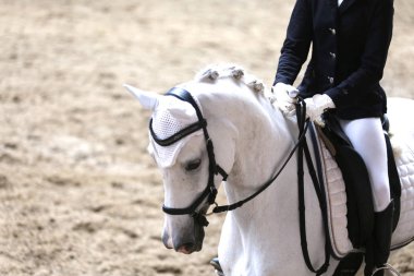 Spor at kafası, Hipodrom üzerinde yakın çekim 