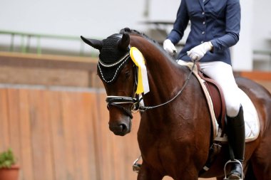 Yarış pistine kazananlar atları üzerinde gururlu rozetleri