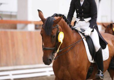 Yarış pistine kazananlar atları üzerinde gururlu rozetleri