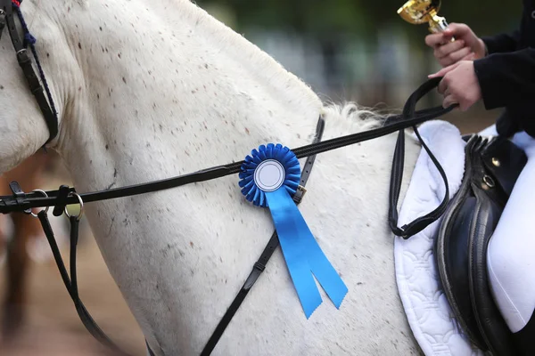 Cavalo esporte puro vestindo vencedores troféu após a competição — Fotografia de Stock