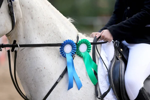 Caballo deportivo de pura raza con trofeo de ganadores después de la competición — Foto de Stock