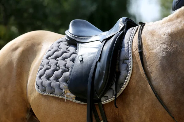 Closeup of a leather saddle for equestrian sport on horseback — Stock Photo, Image