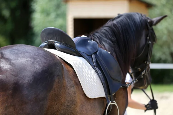 Fecho de uma sela de couro de esporte equestre a cavalo — Fotografia de Stock