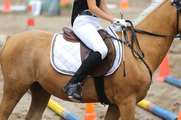 Fecho de uma sela de couro de esporte equestre a cavalo — Fotografia de Stock