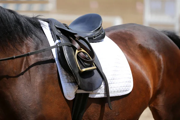 Närbild av en läder sadel för Ridsport på hästryggen — Stockfoto