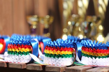 Açık havada spor yarışmasında kazananlara ödüllerin kapanışı