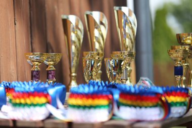 Açık havada spor yarışmasında kazananlara ödüllerin kapanışı