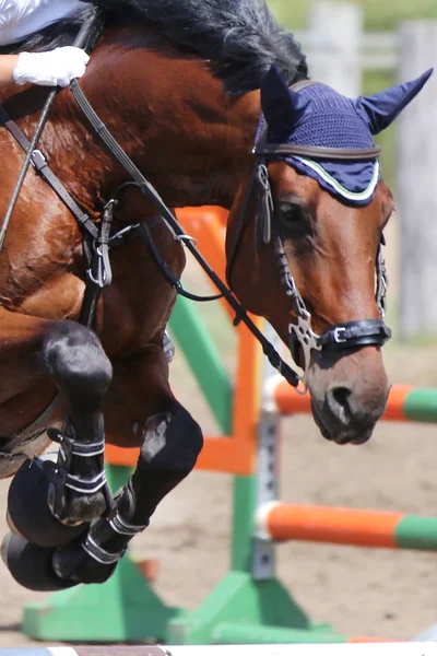 Visa Jumper Horse och rider utför hoppa på hoppning utbildning Stockbild