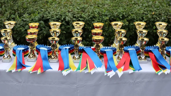 Premios a la espera de ser asignados después del evento de equitación — Foto de Stock